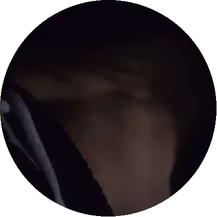 هوت