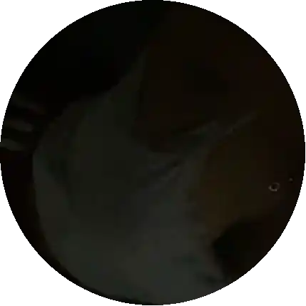 ស្រៀវកន្ដួយហ៎ាបងៗ🥵💦
