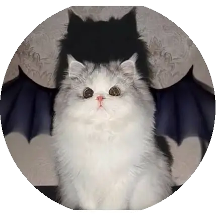 Bwearly