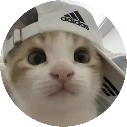 𝐌𝐞𝐭𝐨𝐯𝐢