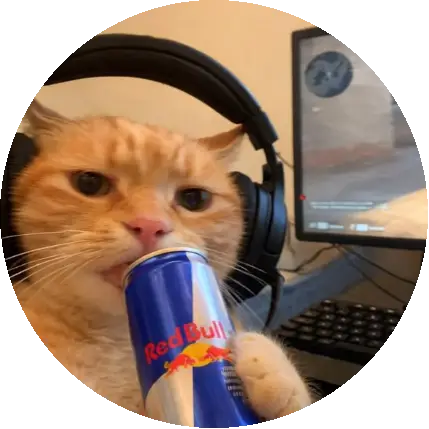 Yiğit
