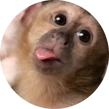 camiss