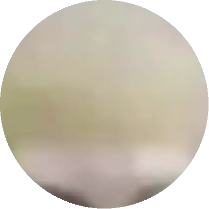 Nàng Kiên Nhẫn Yêu Mèo
