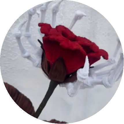 Pequeña flor de loto