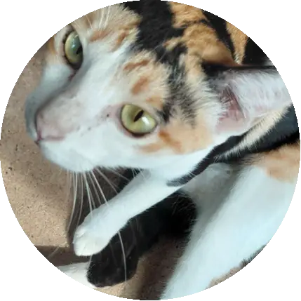 :3