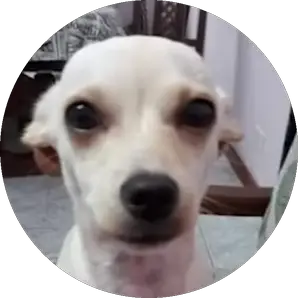 Estefano0o0