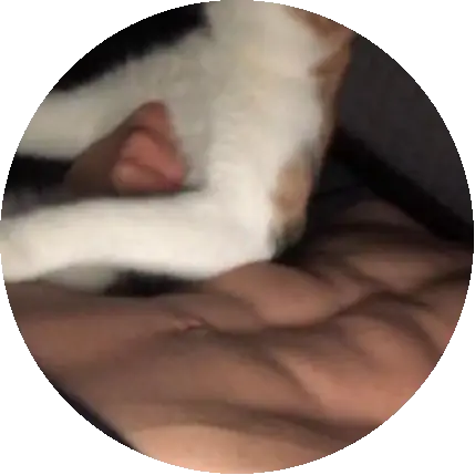 Can