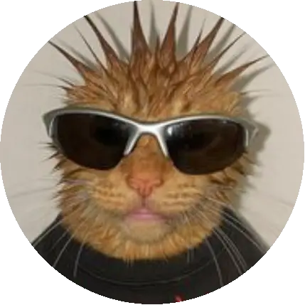 SNOOP CAT
