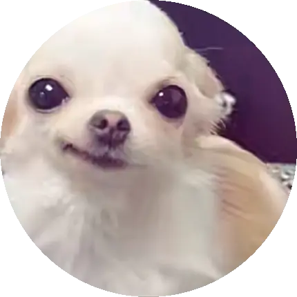 달달한