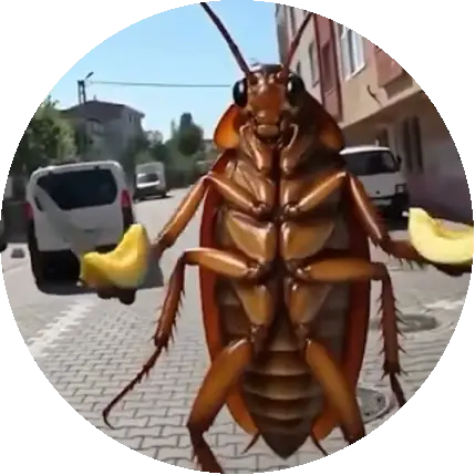 Bok Böceği
