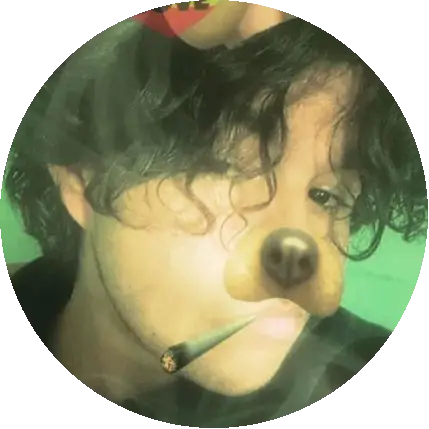 BugDanx