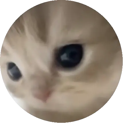 😼