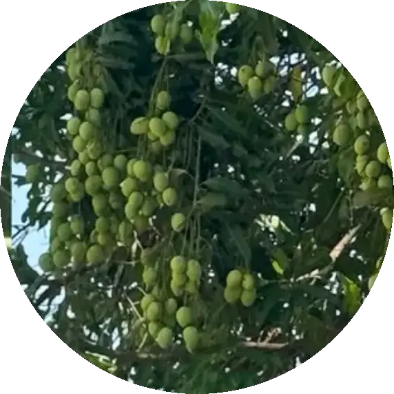 Người đgai s1 thế giới