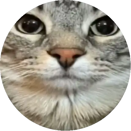 Kayra