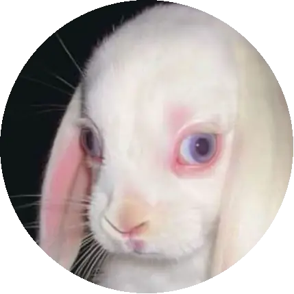 Ngân