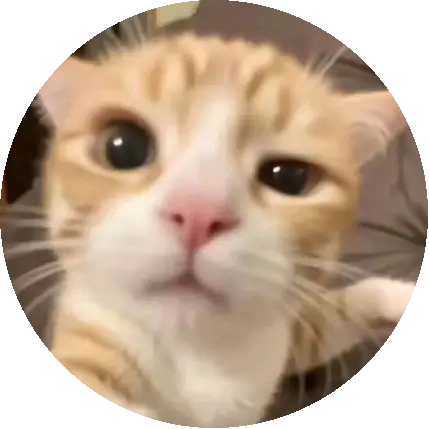 나랑 놀아줄