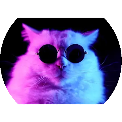 sek erko