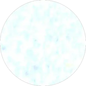 Host