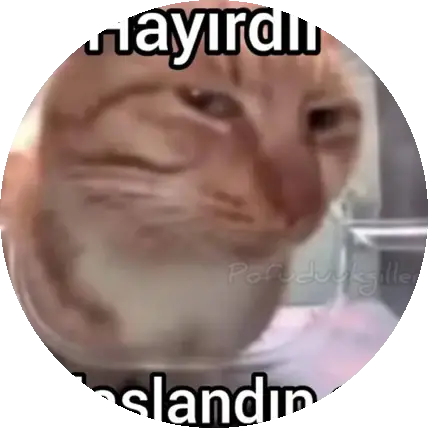 🦭Yalancı🦭