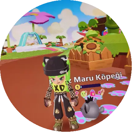 User