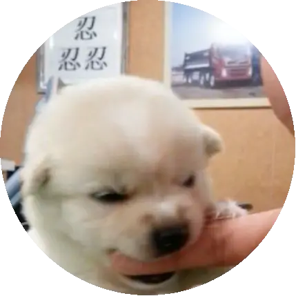 우응