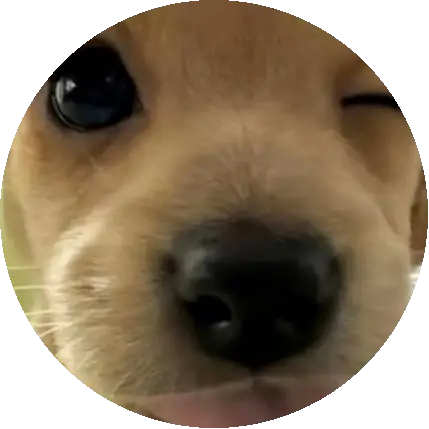 심심