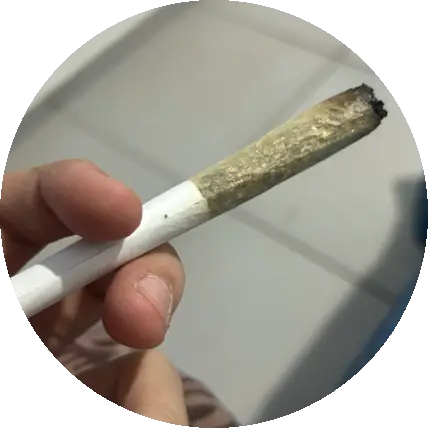 skunkogkush