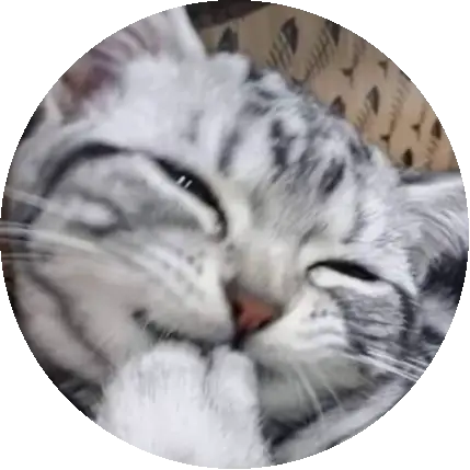 08