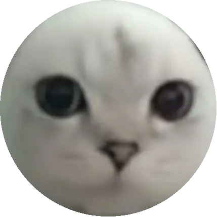 Mindi