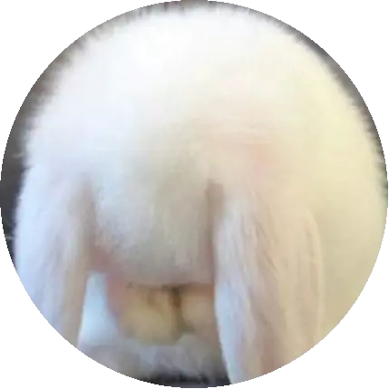 ㅍㄷ