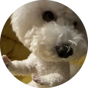 힐그야ㅑㅑㅑ르