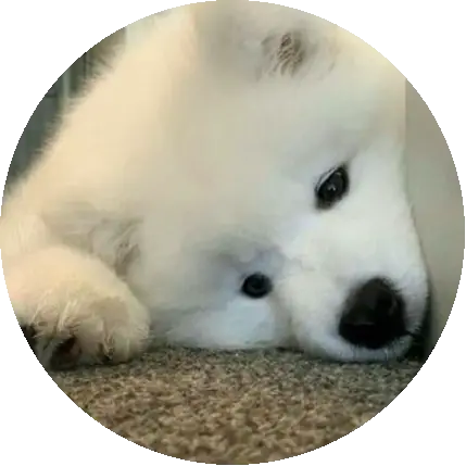 Abcdefgh