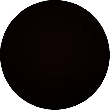 ERDEM