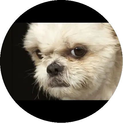 Oden