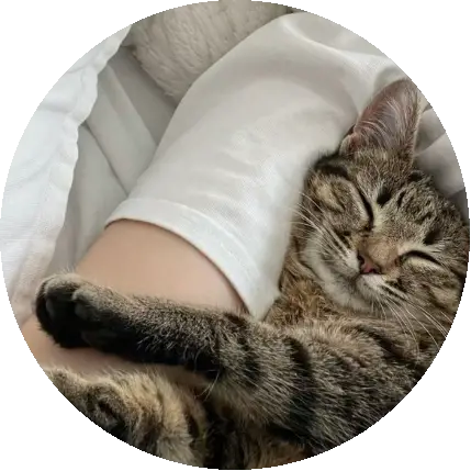 Early Riser Finding Joy