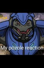 Pozoleros