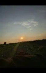 Bu ara kendimi yalnız hiss ediyorum