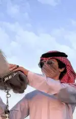عبس 404