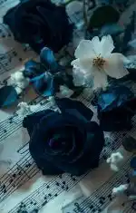 안자는 사람