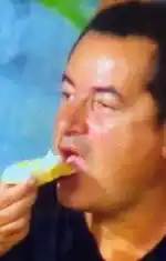 Survivor