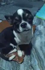 Zzz