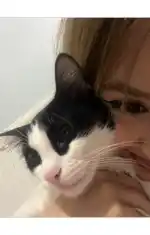 Kendini tanıt😌