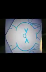 모찌엘