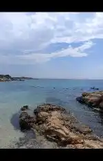 Sex kulübü