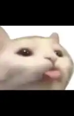 Rp