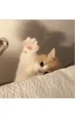 나랑 여왕깨기 하자 언니들