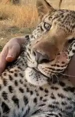 مجمع اللباوي ❤️‍🔥😂