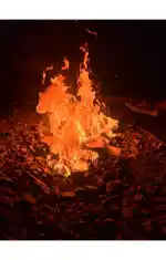 سعوديين 🏳️‍🌈🇸🇦