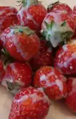 Sadece kızlar fotoğraf atan