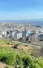 rp grubu
